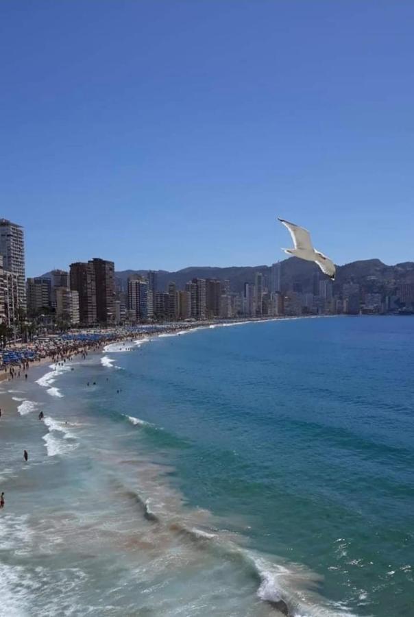SAN REMO Levante beach apartments Benidorm Buitenkant foto